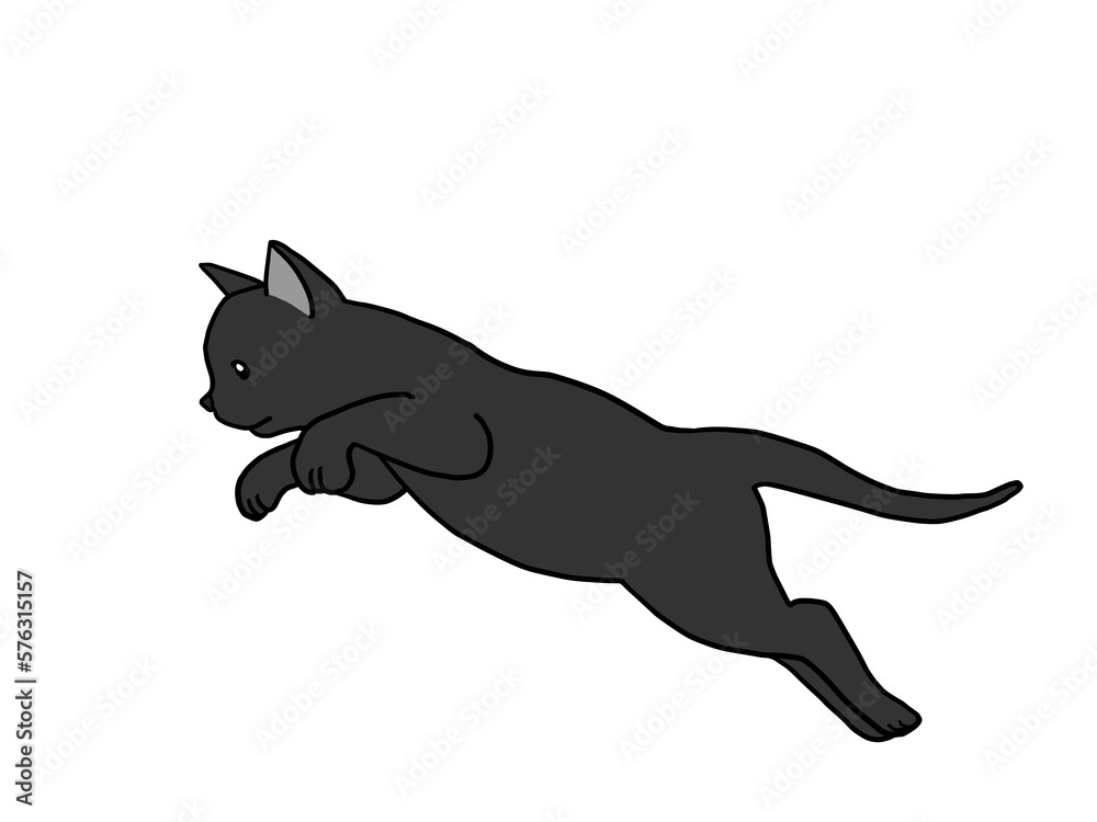 勢いよく空に向かって飛び出している黒猫の子猫 勢いよく空に向かって飛び出している黒猫の子猫