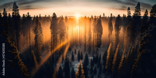 Panoramic View of Lush Pine Forest from Above, sunset, Nature Aerial Photography, Drone Shot, generative ai