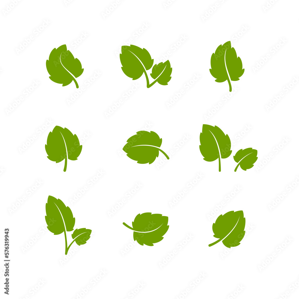 Set of green leaves. Leaves isolated on white background. Flat style. Vector illustration. Set of green leaves. Leaves isolated on white background. Flat style. Vector illustration.