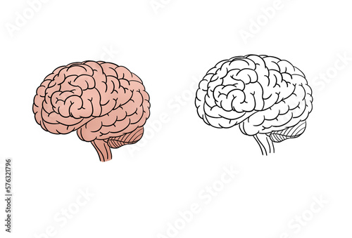 brain stroke and colored simple illustration