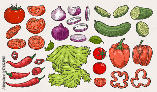 Fresh vegetables set labels colorful