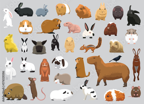 Fototapeta Naklejka Na Ścianę i Meble -  Animal Rodent Capybara Rabbit Hamster Guinea Pig Rat Characters Cartoon Vector