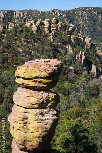 Hoodoo with Lime Green Chiricahua National Monument photo