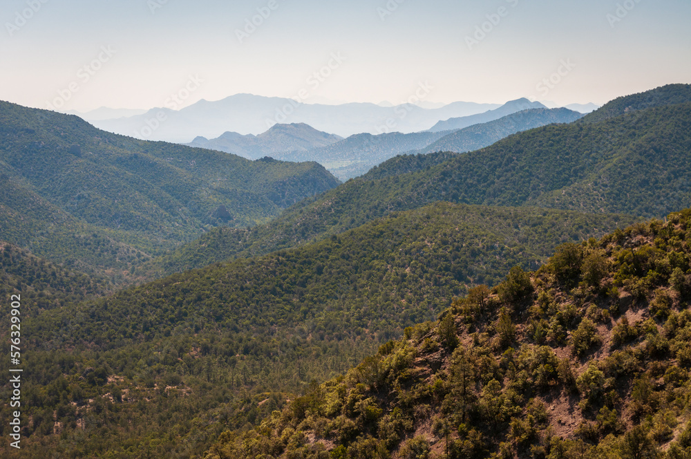 View of the Forests at Chiricahua National Monument View of the Forests at Chiricahua National Monument