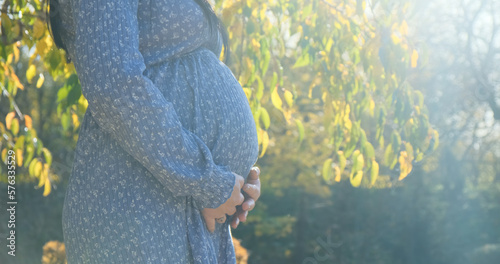 Pregnant woman belly in sun light, close up. Unrecognizable young mother feeling happy on nature background taking care of pregnant belly. Expecting baby, child. Pregnancy, maternity prenatal concept