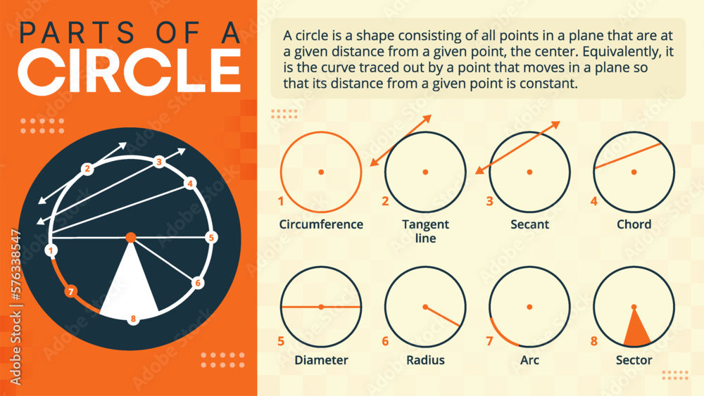 Circular Anatomy- Understanding the Parts of a Circle Vector ...