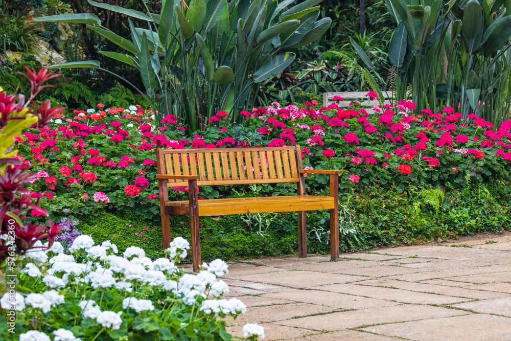 A wooden bench in beautiful garden.