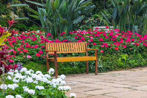 Fototapeta Naklejka Na Ścianę i Meble -  A wooden bench in beautiful garden.
