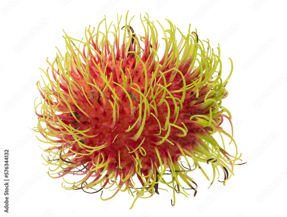 Ripe rambutan on transparent background png file. Ripe rambutan on transparent background png file.