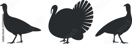 Turkey silhouette. Isolated turkey on white background. Bird