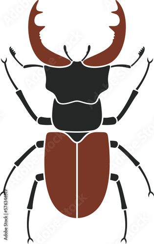 Beetle deer. Hercules beetle © oleg7799
