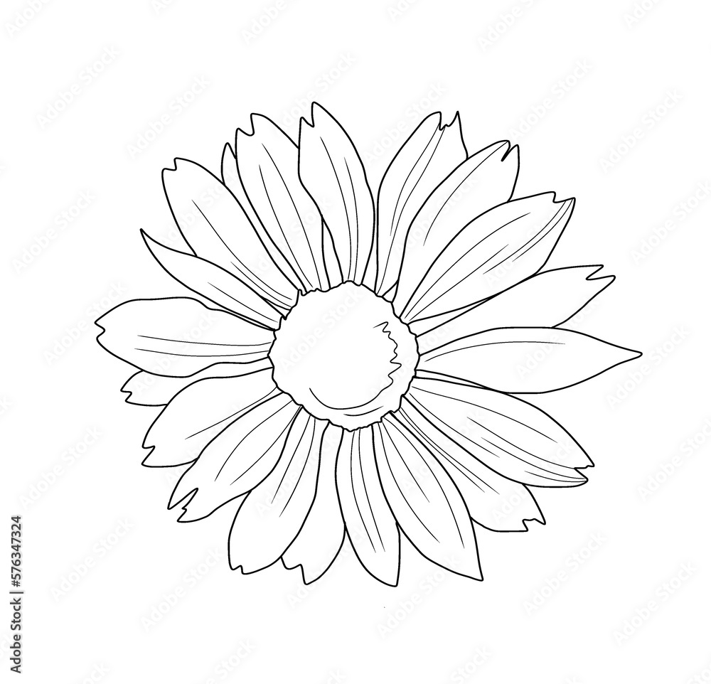Chamomile line art with yellow watercolor background Chamomile line art with yellow watercolor background