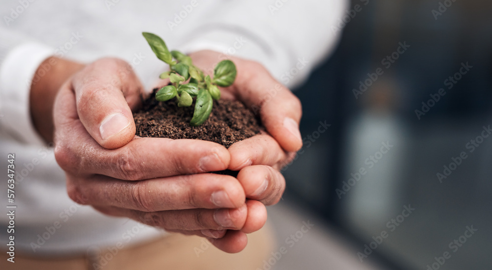 Small efforts lead to big success. Cropped shot of a businessman holding a plant growing out of soil. Small efforts lead to big success. Cropped shot of a businessman holding a plant growing out of soil.