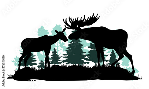 Elk male with large horns and with female moose cow. Glade in coniferous forest. Silhouette picture. Pine spruce taiga. Animals in wild. Isolated on white background. Vector.