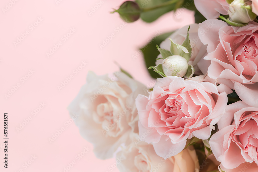 Roses in pastel colors on a pink background.
