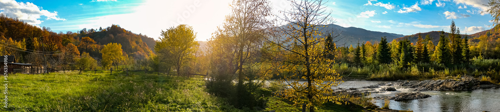 Fototapeta premium Panorama of a spruce forest in the mountains near the river