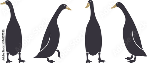 Indian runner ducks logo. Isolated indian runner ducks on white background. Bird