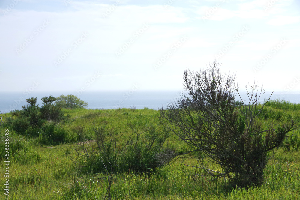 Santa Barbara California landscape at the pacific ocean coast on a winter day