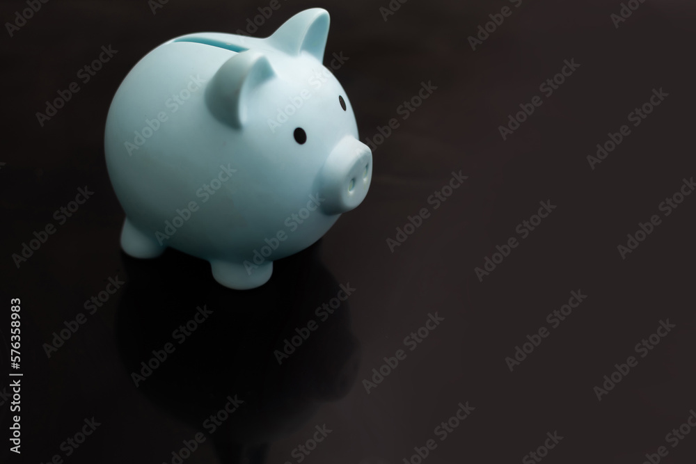 Piggy bank on dark background