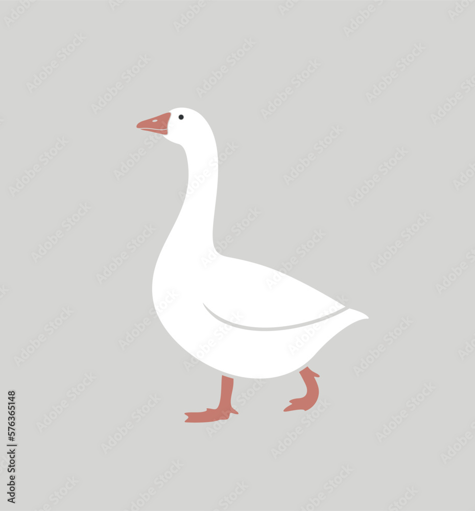 Goose logo. Isolated goose on white background. Bird Goose logo. Isolated goose on white background. Bird