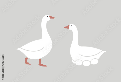 Goose logo. Isolated goose on white background. Bird