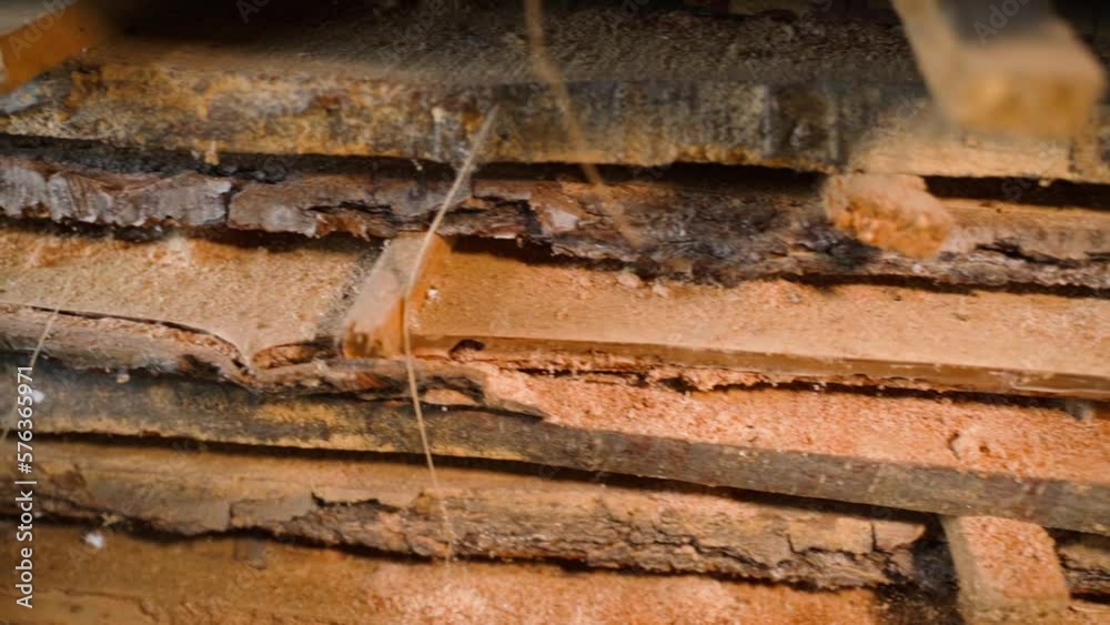 Oak planks affected by pests in a warehouse, close-up. Wood-eating insects have ruined good wood material. Smooth camera glide Oak planks affected by pests in a warehouse, close-up. Wood-eating insects have ruined good wood material. Smooth camera glide