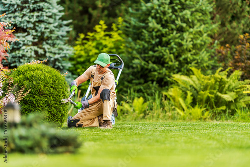 Landscape Gardening Professional Shaping Shrub photo