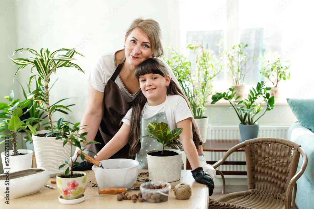 Portrait of a grandmother and granddaughter in front of a table in a home garden. They transplant houseplants. Family on a spring day. Portrait of a grandmother and granddaughter in front of a table in a home garden. They transplant houseplants. Family on a spring day.