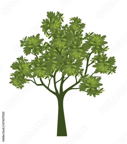 Green Tree Isolated. Plant and Vectro Illustration.