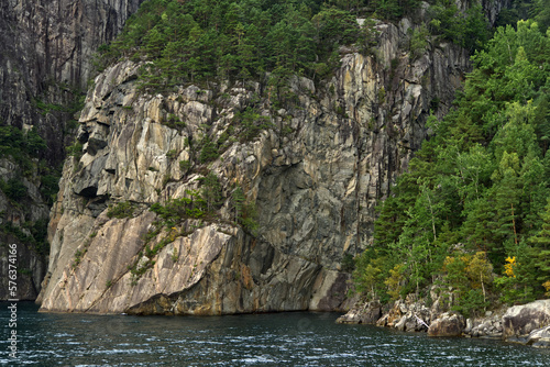 Felswand mit Bäumen am Lysefjord