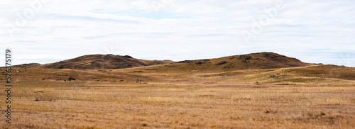 Tibet Plateau scenery. Yellow wild grass against the background of the cloudy sky. A landscape view of the dry hills. Amazing view of a desolate plain on a cloudy day with dry grass in the foreground.