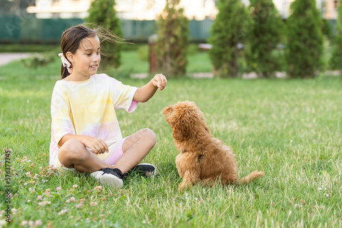 Foto a little girl with Adorable Maltese and Poodle mix Puppy or Maltipoo dog