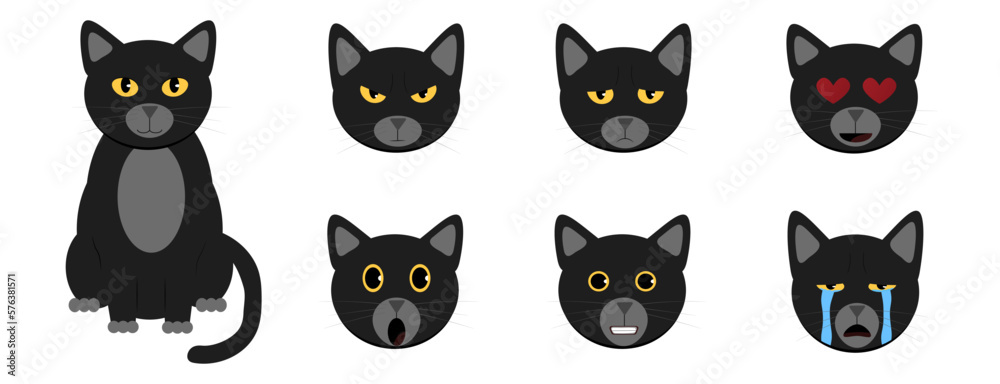 Many Expressions of a Cat Many Expressions of a Cat