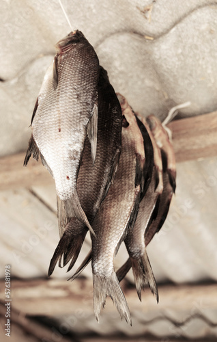 Fresh salted fish dries in the attic.