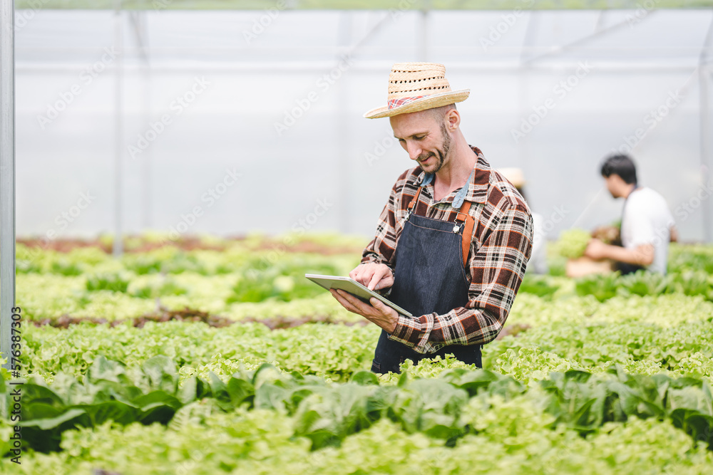Owner of a hydroponic vegetable garden Check the quality of vegetables and monitor or record the growth of hydroponic vegetables. greenhouse vegetable garden Owner of a hydroponic vegetable garden Check the quality of vegetables and monitor or record the growth of hydroponic vegetables. greenhouse vegetable garden