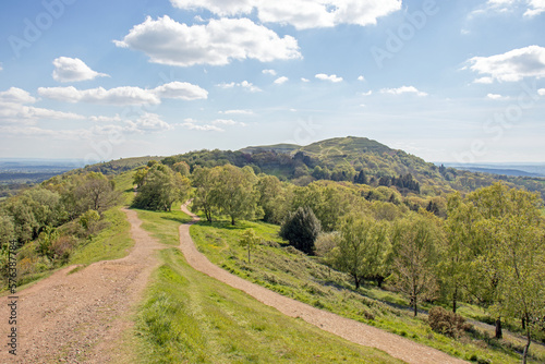 Summer trees along the Malvern hills of the UK.