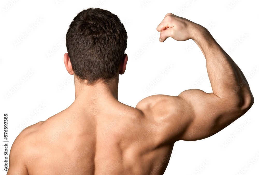 Shirtless male flexing his bicep muscle Shirtless male flexing his bicep muscle