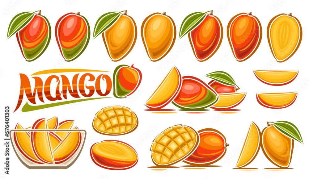 Vector Mango Set, banner with collection of cut out illustrations fruit still life composition with green leaves, ripe juicy chopped mango in glass dish, many different tropical fruits and text mango