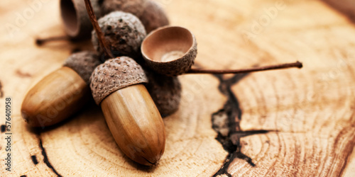 hazelnuts on wooden background