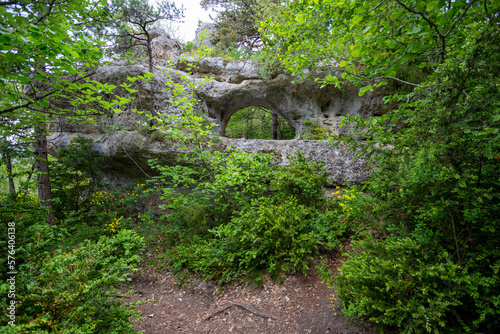 Roca con un agujero en medio de un bosque verde