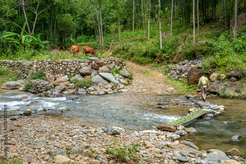 Obraz premium Northern Vietnam, scenery in the National reserve of Pu Luong. A man crosses the creek.
