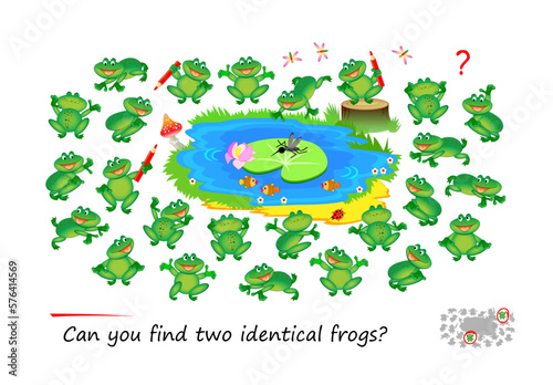 Logic puzzle for children and adults. Can you find two identical frogs? Page for kids brain teaser book. Task for attentiveness.  IQ test. Play online. Vector cartoon illustration.