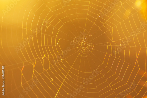 close up of cobweb against orange background