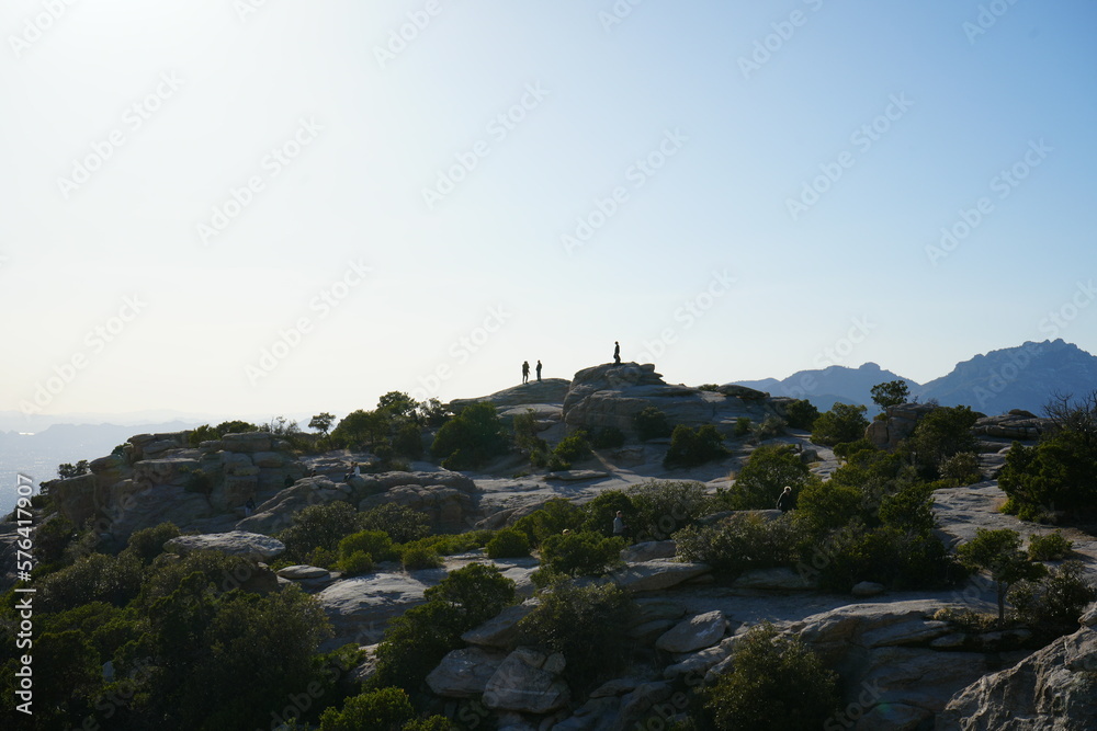 Snowy mountain with pine trees landscapes and natural winter scenes
Snowy mountain with pine trees landscapes and natural winter scenes
