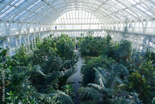 greenhouse with plants photo