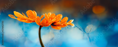 Orange flowers in a graphic and whimsical landscape. A dynamic background for a design banner ideal for the seasons with nature colors and blue sky. Generative AI