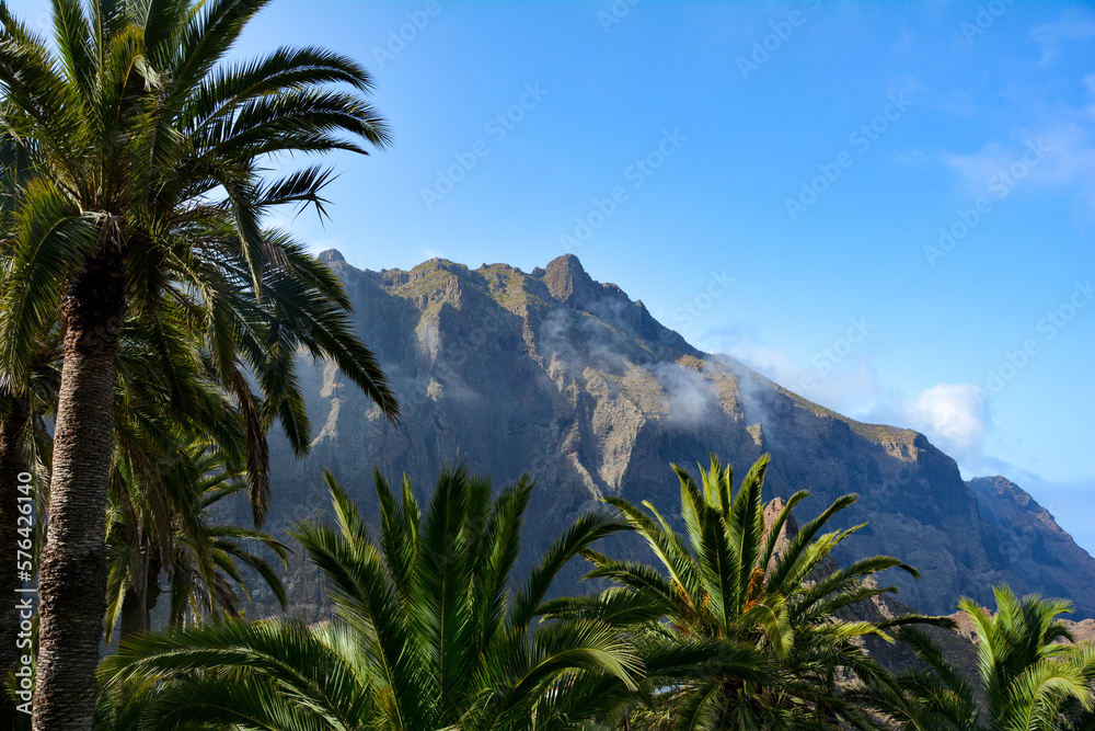 Mountains and palm trees on Masca, in Tenerife in Spain