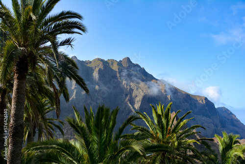 Mountains and palm trees on Masca, in Tenerife in Spain