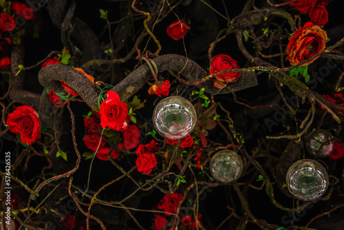 The rose, with its deep crimson color and delicate petals,