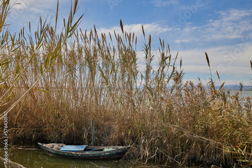 Old fishing boat in the backwaters and in the thickets of tall grass and reeds